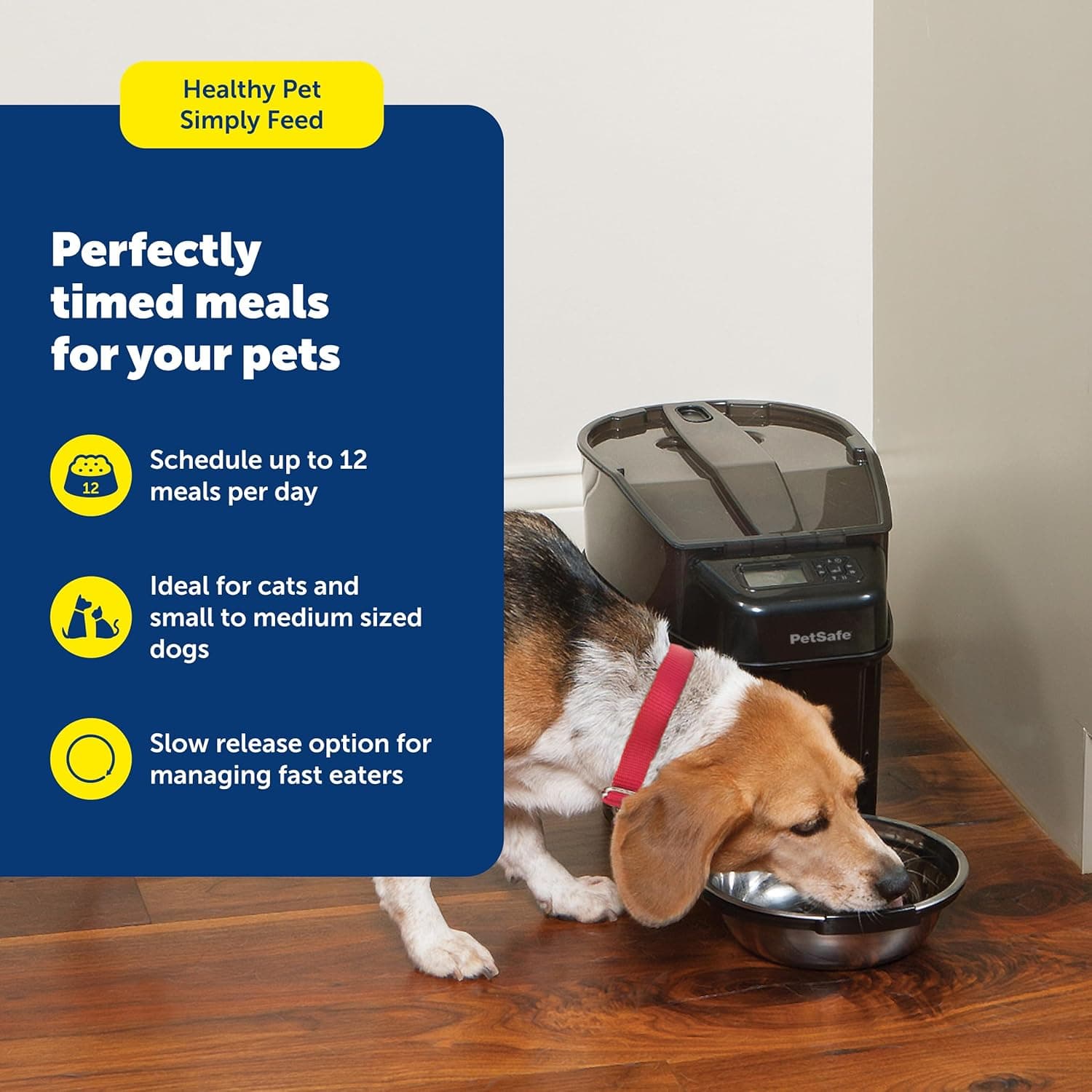 PetSafe Simply Feed Automatic Pet Feeder 3