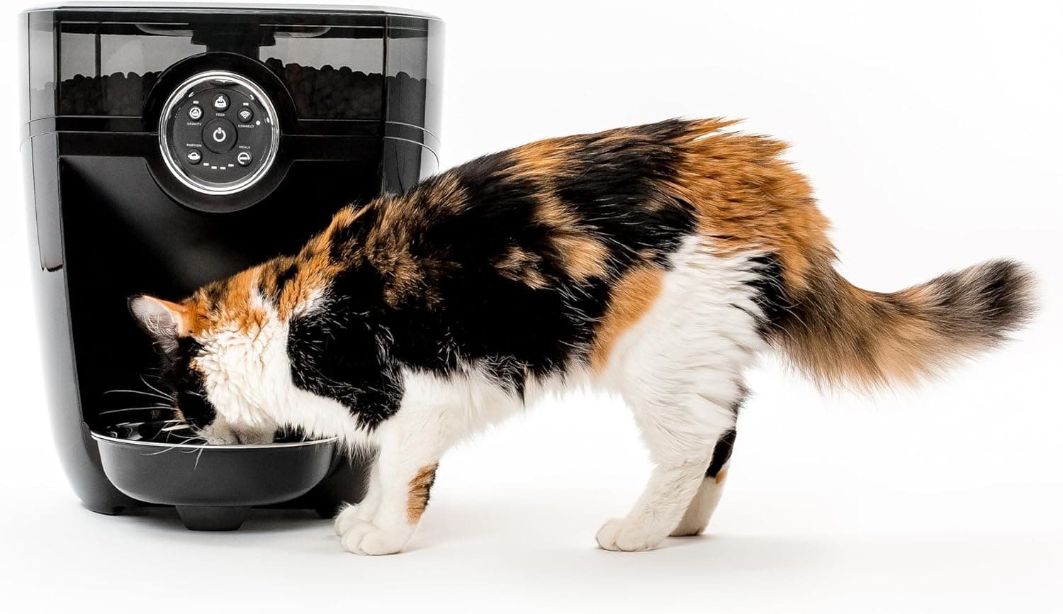 Whisker Feeder-Robot Automatic Pet Feeder 2