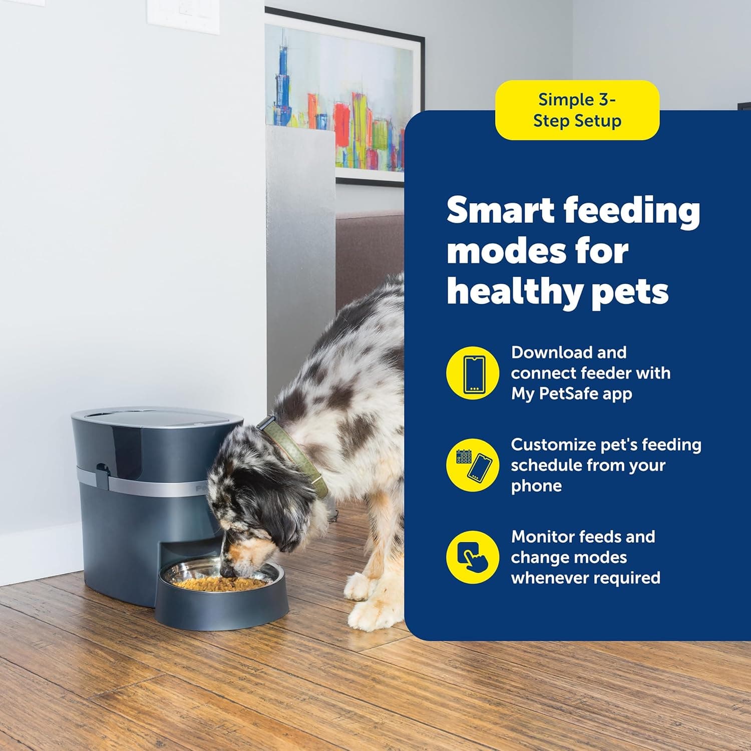 PetSafe Smart Feed Automatic Dog Feeder 6